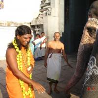 20051118_Photo_1066_Ananda Ula 2005 Kanchipuram 010_CMP_WM